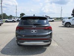 2023 Hyundai Santa Fe Hybrid Limited